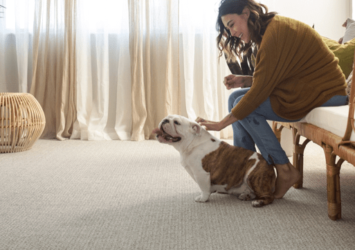pet friendly flooring | Big Bob's Flooring Outlet