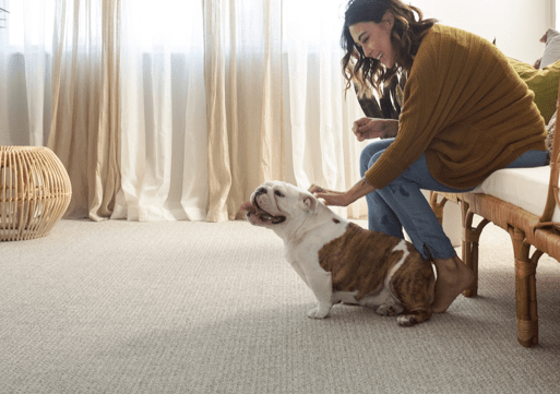 ZZ074-Fetch-712-Briarwood-D-6585-ret copy pet friendly flooring | Big Bob's Flooring Outlet
