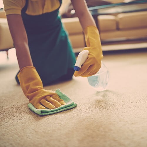 Carpet cleaning | Big Bob's Flooring Outlet