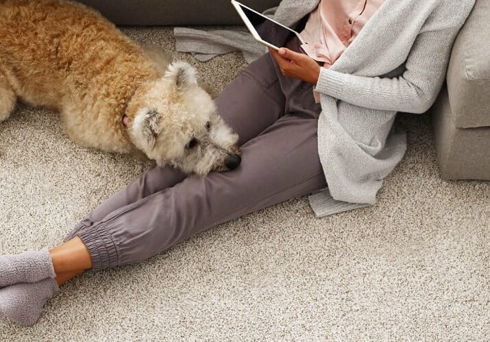 color-that-speaks Lady with pet sat on carpet | Big Bob's Flooring Outlet