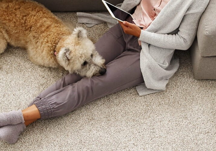 Lady with pet sat on carpet | Big Bob's Flooring Outlet